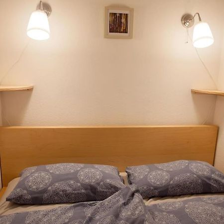 Gemuetliches 2P-Apartment In Ruhiger Lage Dresden Bagian luar foto